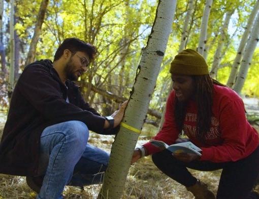 DU students doing research in forest